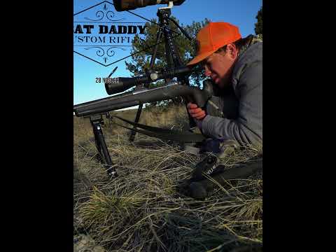 Hunting Bullets Explained | Bulls, Bullets, and Ballistics With NOSLER