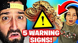 5 Warning Signs YOUR Snake is STRESSED! | Avoid These DANGEROUS Mistakes!