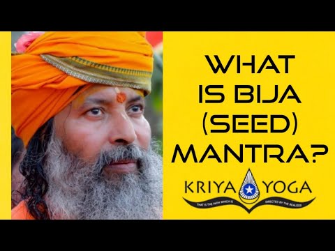 What Is Bija (Seed) Mantra?