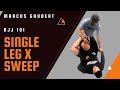 BJJ 101 - Single Leg X - Sweep + Straight Ankle Lock