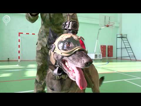 НОВОСТИ в 18:30 – 20 февраля 2026