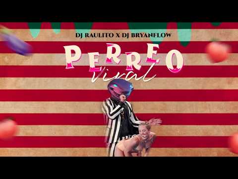 AQUI LLEGÓ TU TIBURÓN MIX - DJ Raulito & DJ Bryanflow (Safaera Mix)