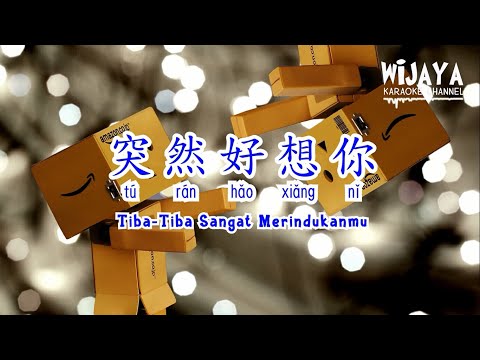 突然好想你 (伴奏) Tu Ran Hao Xiang Ni (Tiba-Tiba Sangat Merindukanmu) vocal remover