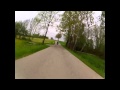Landschaft und viel bayrische Kühe 