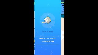 【ポケモンスリープ】　トゲデマル　とげさかだち寝　【pokemonnsleep】