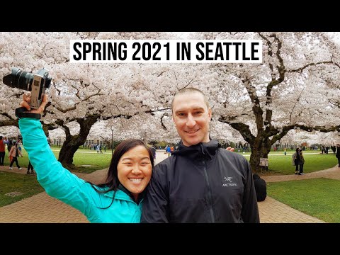 Japanese Cherry Blossoms, SOVIET Art and A Giant Troll in Seattle - Easter Sunday Vlog 2021