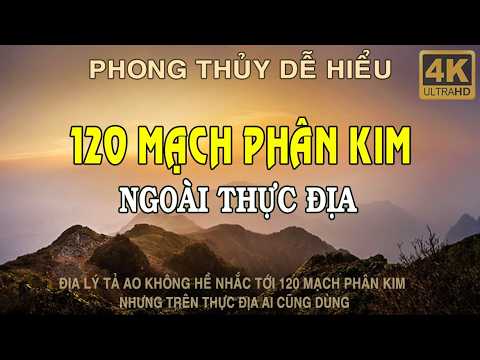 Tả Ao Không Dạy 120 Mạch Phân Kim – 90% Đang Hiểu Sai Ngoài Thực Địa