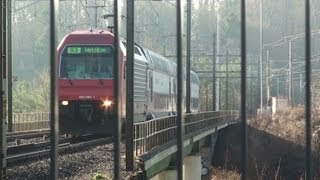 preview picture of video 'S-Bahn S3 Wetzikon-Aarau ZVV an einem kalten Dezembertag'