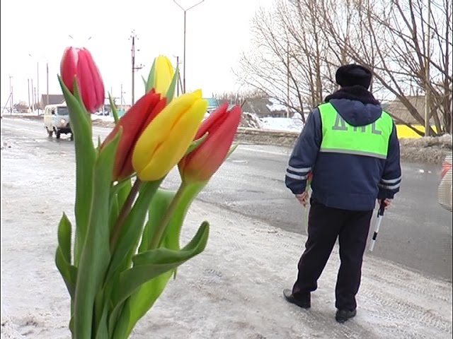 Их остановили чтобы... поздравить