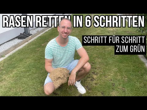 Rasen retten in 6 Schritten ✅ Vertrockneten & vernachlässigten Rasen erneuern
