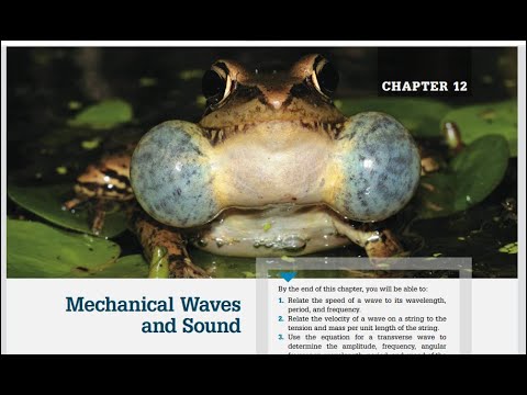 Chapter 151 Chapter 12: Mechanical Waves and Sound