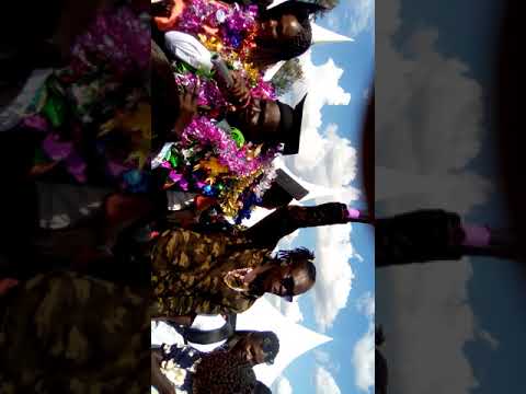 Komi Bushman performing live