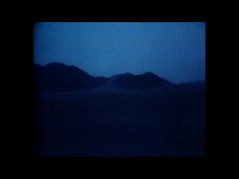 "dondada" | ALPHA WANN TYPE BEAT 2021