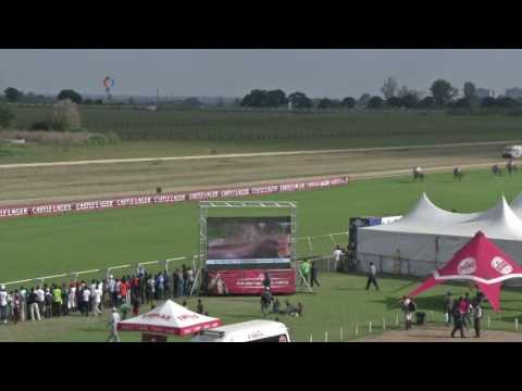 Horseracing A Crowd Puller in Zimbabwe Despite Harsh Economy