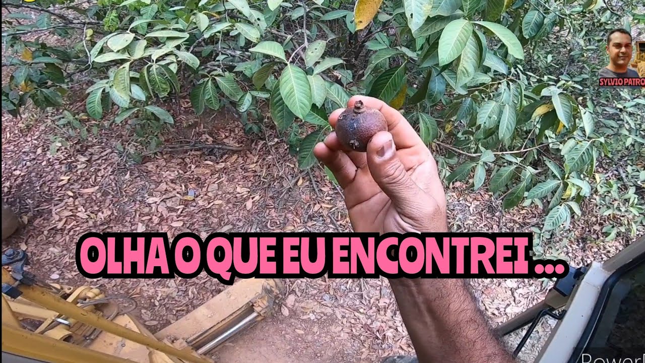 OLHA O QUE EU ENCONTREI / Motoniveladora caterpillar 120k grader niveleuse patrola motoconformadora