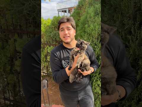 انا معي قط لونه كل الالوان:😱