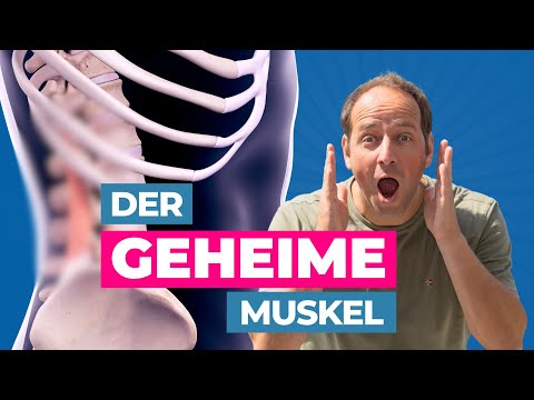 Diesen Muskel solltest du dehnen 🤩 Der Quadratus Lumborum