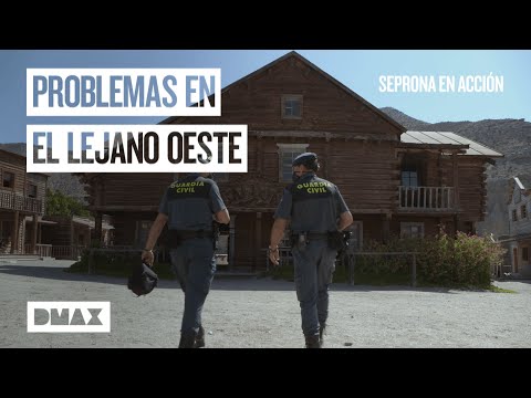 ¿En qué estado se encuentran los caballos del Desierto de Tabernas? | Seprona en acción