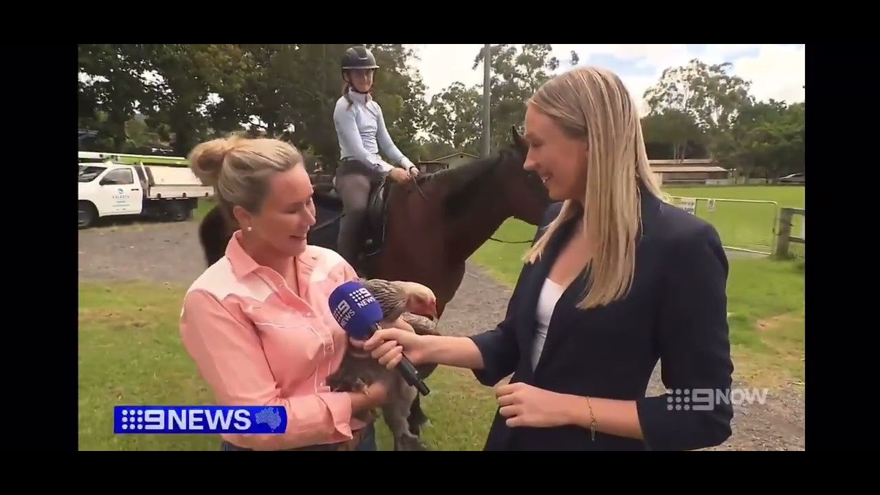 100 Days to go to the 2026 Mudgeeraba Show | 9 News