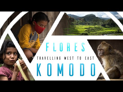 Flores & Komodo, Indonesia - Ultimate Travel & Dive Guide to best Places to Visit (Cinematic Video)