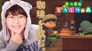 【あつ森】ブラックフライデー/喫茶ハトの巣/島のお掃除etc.