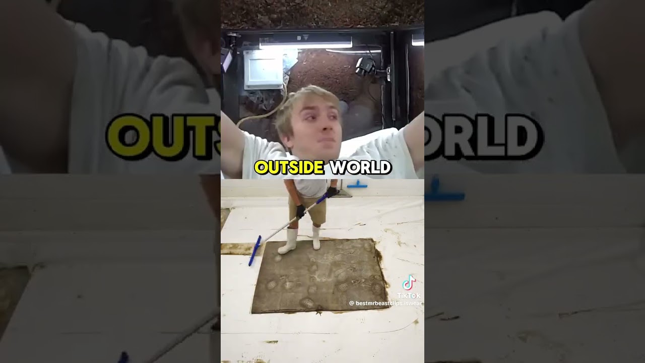 Thats insane #fyp #mrbeast #video #videoclip