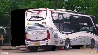 Download lagu Story' wa STJ IGUAZU DAN VELLAGO mp3