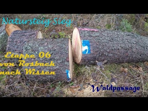 Natursteig Sieg 06.Etappe