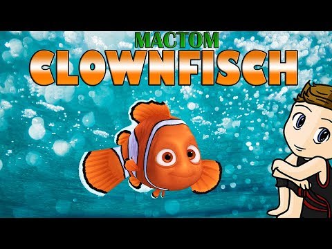 MacTom - Clownfisch (beat by MazeOne)