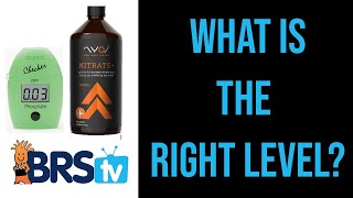 What Are Acceptable Nitrate and Phosphate Levels in Reef Tanks? | ep.3 BRStv Guide to Pollutive Food