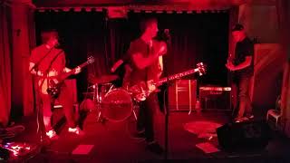 THE GOTOBEDS Calquer The Hound (Clip)