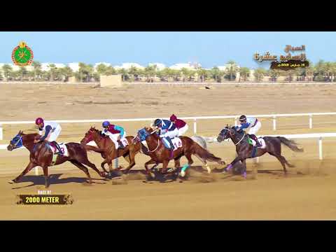 الشوط السابع - السباق السابع عشر- الرحبة 14/03/2019 Race 7-17th meeting