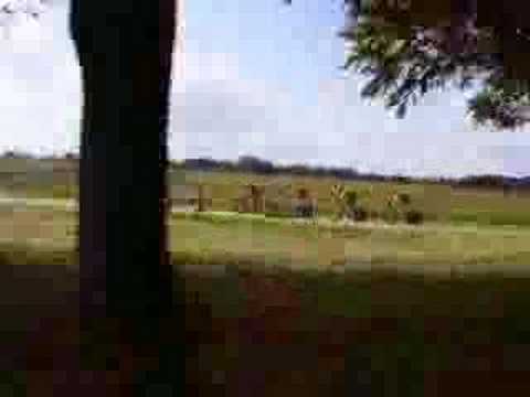 nck junioren jan van arckel 2