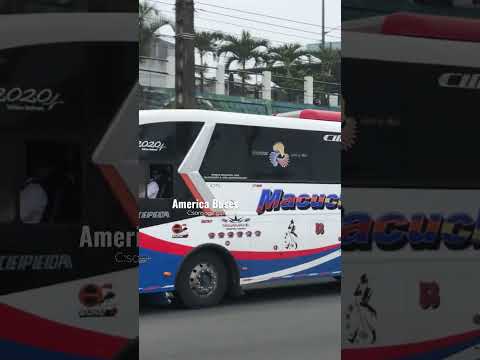 Hino ak Cepeda c5 Trans Macuchi 00-53 #viral #ecuador