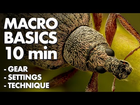 7 Years of Macro Photography Knowledge in 10 Minutes