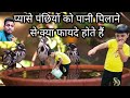 Pyase Panchiyon Ko Pani Pilane Se Kya Fayde Hain Panchhiyon Ko Dana Khilane Ne Se Kya Hota H