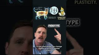 AP Biology 2026 Exam Must Know!