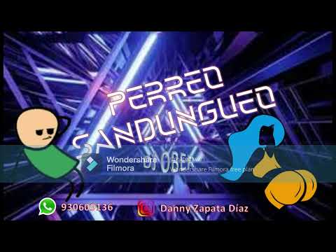 MIX PERREO SANDUNGUEO   DJ OBER