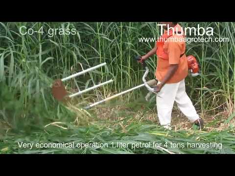 Manual Fodder Harvester Demo — Thumba Agro