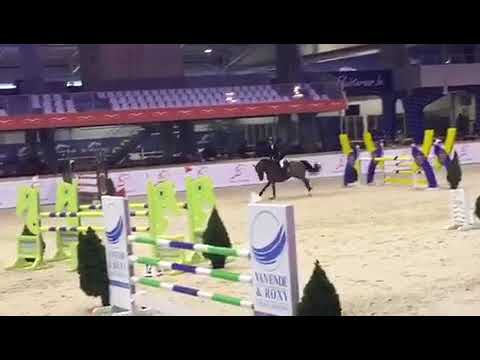 Crystal z : Cornet Obelensky x Kannan