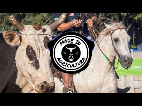 Paulinho Mocelin - Troféu [STATUS] [MADE IN AGRICULTURA EDITION]
