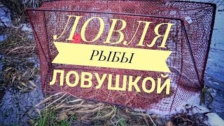 Ловля рыбы в финляндии где ловить