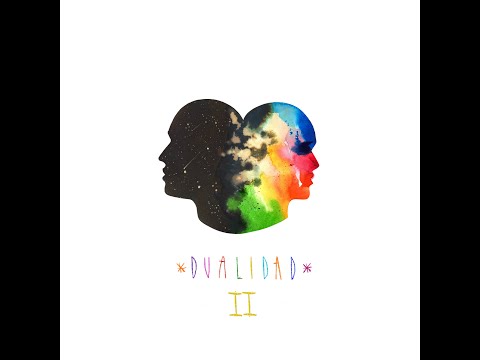 VICEN TENDERO Dualidad 2 video lyrics