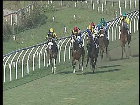 Galoppo 16/08/2017 - 3ª corsa