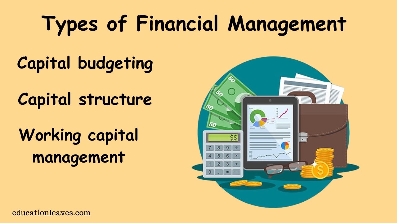3 Types of Financial Management