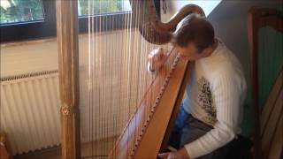 Download lagu Gaetano Donizetti: Sonata for violin & harp (Larghetto) mp3