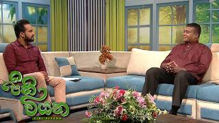 Pini Viyana – 2026-06-22