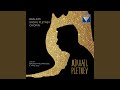 Piano Sonata in A Minor: II. Adagio mosso (Live)