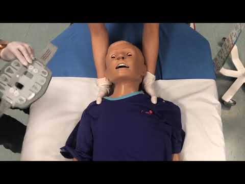 How to Do a Pediatric Trauma Survey (Primary & Secondary)