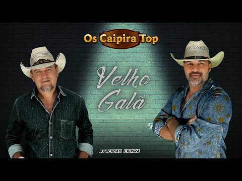 VELHO GALÃ (Pancadão Caipira) - Os Caipira Top2024 #oscaipiratop #remixsertanejo #remixcaipira
